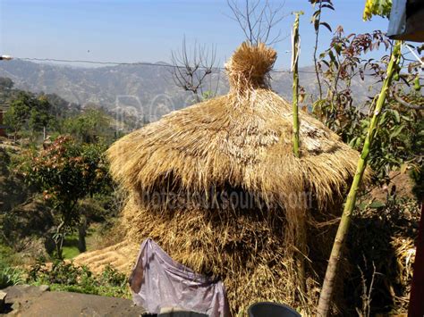 Photo Of Grass Hut By Photo Stock Source House Khawa Kathmandu Nepal