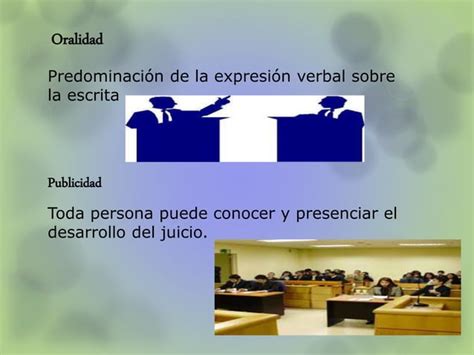 Principios De Los Juicios Orales Ppt Descarga Gratuita