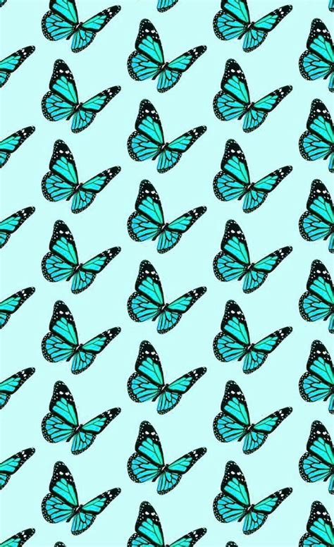 Teal Butterfly Wallpapers - Top Free Teal Butterfly Backgrounds - WallpaperAccess