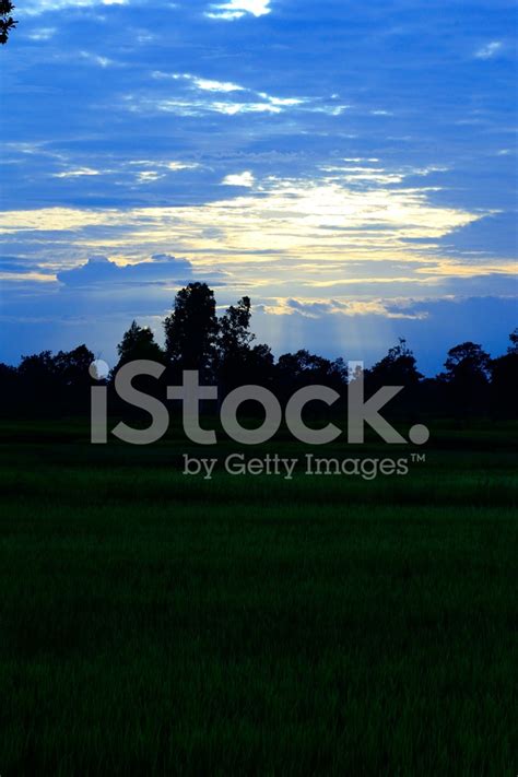 Beautiful Sunset At Farmland Stock Photo Royalty Free Freeimages