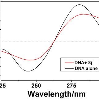 Cd Spectra Of Ct Dna Ml Solution M In The Absence And