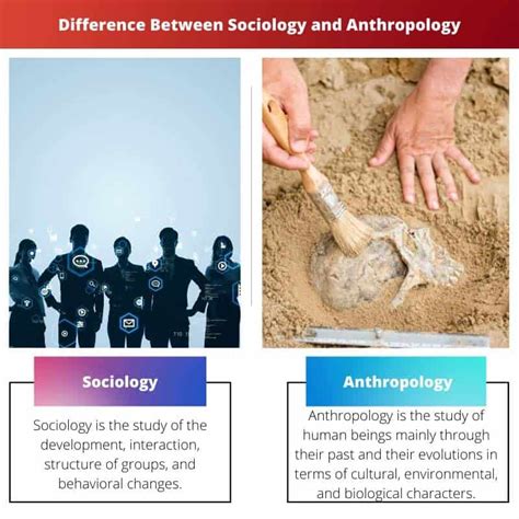 Difference Between Sociology And Anthropology Ask Any Difference