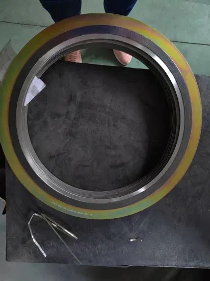 SS304 SS316 Graphite Packing Spiral Wound Seal Flange Gaskets Flange