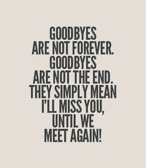 Goodbye Until We Meet Again Goodbye Quotes Quotes Goodbyes Are