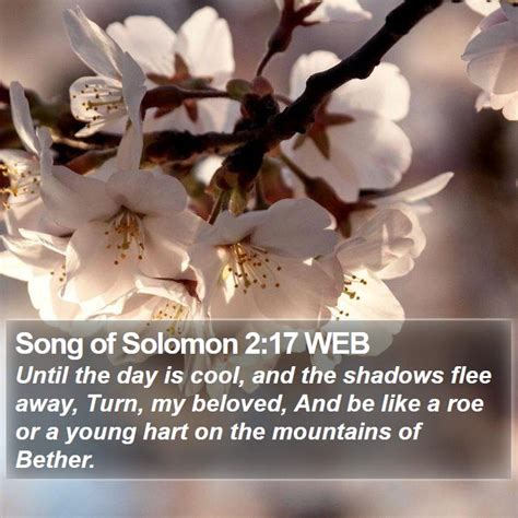 Song Of Solomon 2 Scripture Images Song Of Solomon Chapter 2 WEB