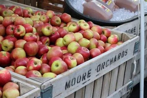 Oak Harbor Apple Festival