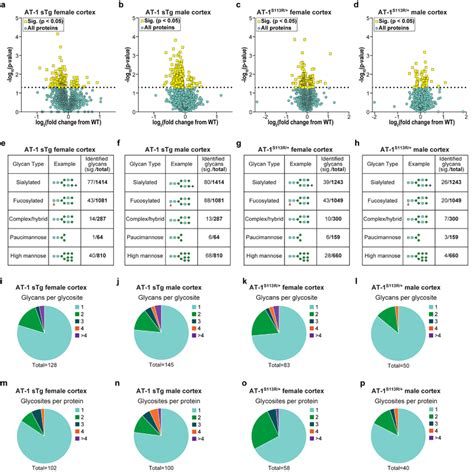 AT 1 STg And AT 1 S113R Display N Glycoproteomic Changes Across Many