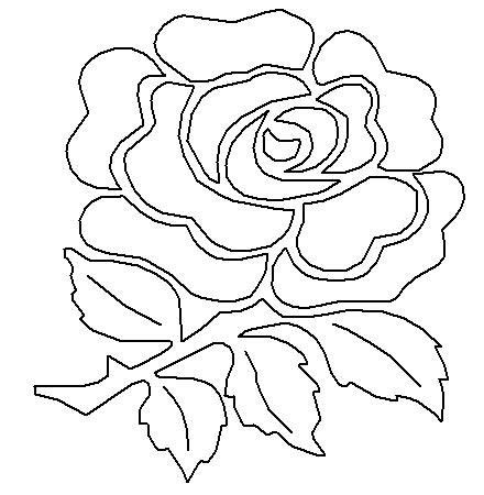 English Rose - Ideal for Rugby Fans