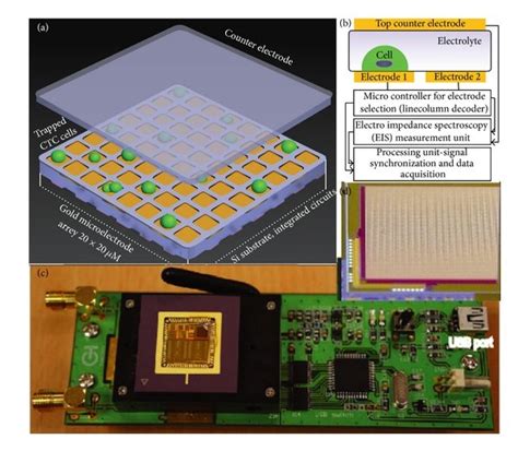 Cmos Based Sensor Array For Cell Counting A Schematic Of The Download Scientific Diagram