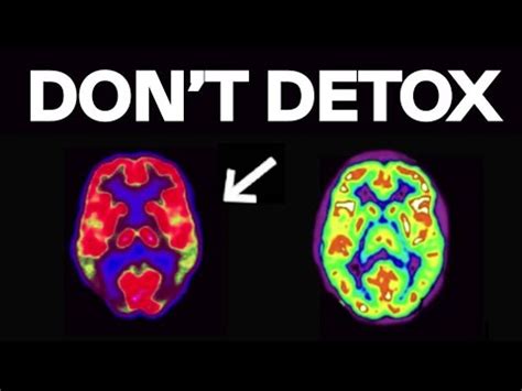 How To Reprogram Your Dopamine To Crave Hard Work YouTube