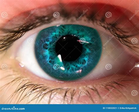 Blue Human Eye Close Up Stock Image Image Of Human 110032021