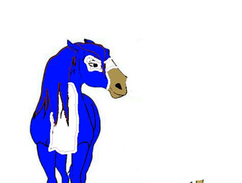 Sonic (horse vershoin) by Spirit-horse-adopts on DeviantArt