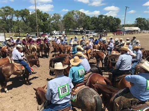 Cowboys Rodeo Results