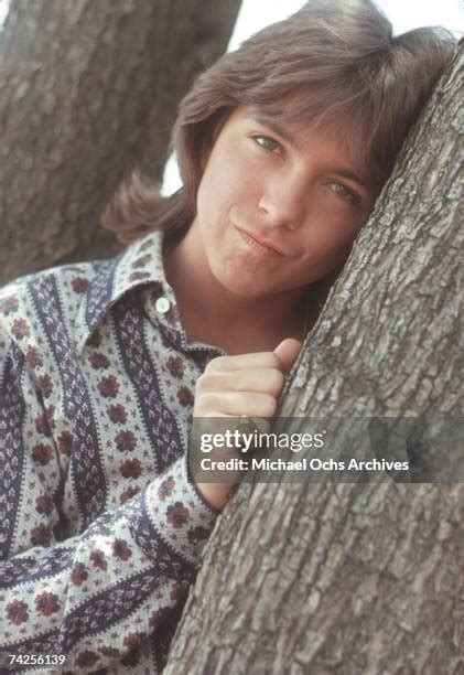 David Cassidy Photos And Premium High Res Pictures Getty Images