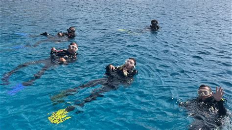 Divers Paradise Komodo Batu Bolong Manta Point Siaba Kecil Etc