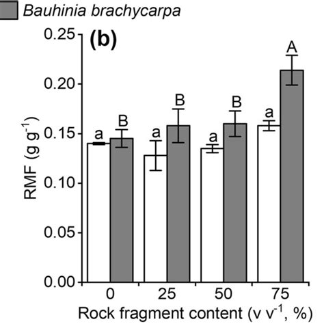 Responses Root To Shoot Ratio R S Ratio Root Mass Fraction Rmf And