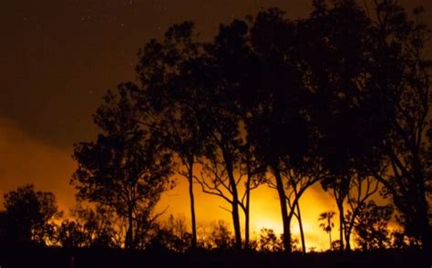 7 New Projects Enhance Bushfire Impact Understanding Ardc