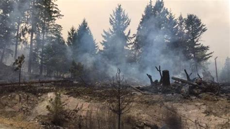 B C Fires West Kelowna Evacuation Alert Lifted Cbc News