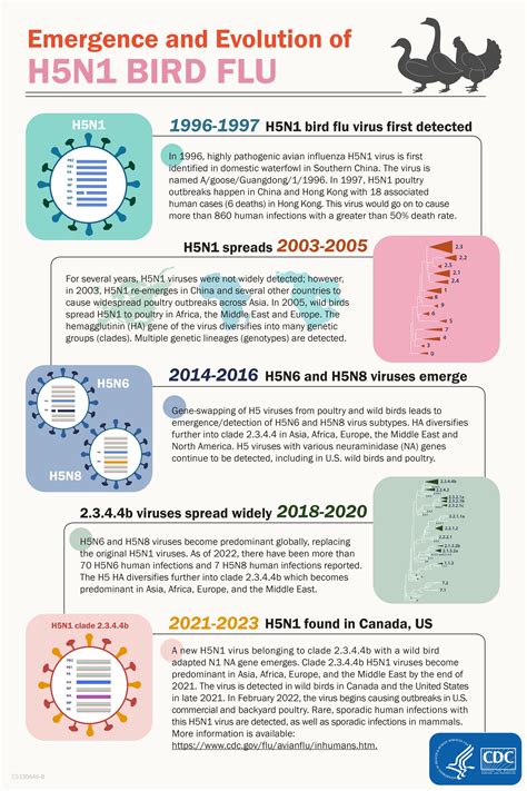 Emergence And Evolution Of H5n1 Bird Flu Avian Influenza Flu