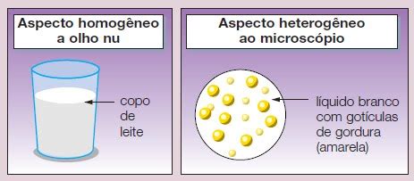 Misturas homogêneas e heterogêneas Biologia A ciência da vida