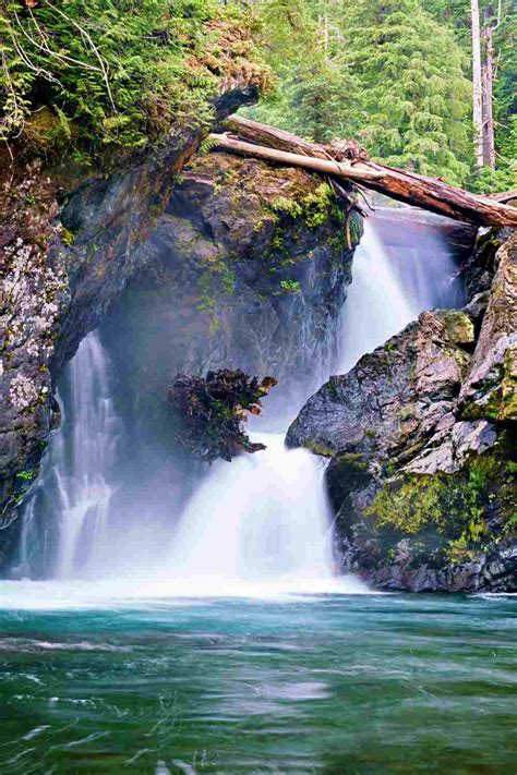 10 Best Waterfalls In Olympic National Park | Forest