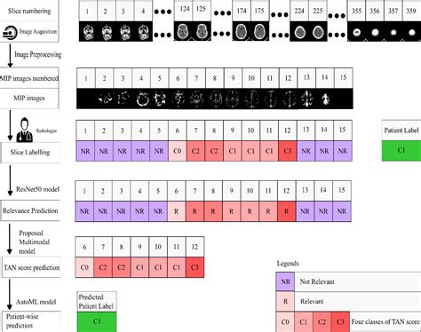 Figure From Multilevel Multimodal Framework For Automatic Collateral