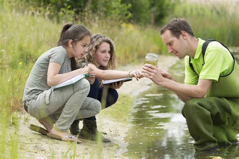 Comment Travailler Dans La Nature Sans Dipl Me Ifsa Et Nature