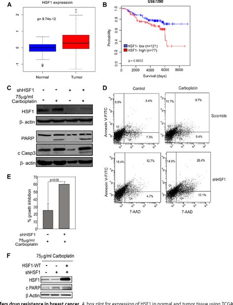 Figure From Heat Shock Factor Hsf Controls Chemoresistance And