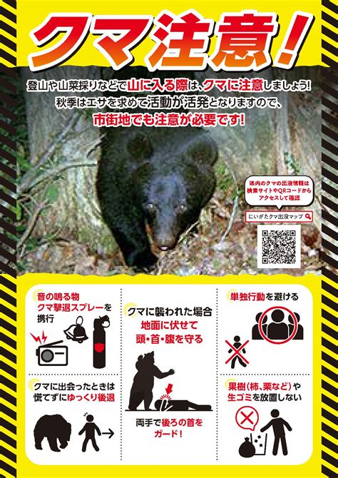 上越地域 ブナやミズナラ凶作 クマ人里への出没に注意 ニュース 上越妙高タウン情報