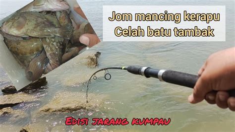 Tips Cara Mancing Ikan Kerapu Celah Batu Try Ler Kompom Ketagih Youtube