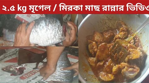 Village Potatoes And Mrigel Fish Cooking আলু দিয়ে ২৫ Kg মৃগেল মাছের