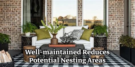 How To Keep Bugs Off Patio Furniture Effective Ways