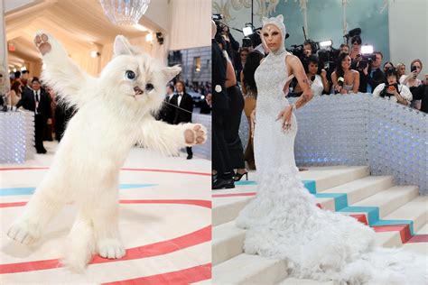 Met Gala Outfits Cat Laura Morgana