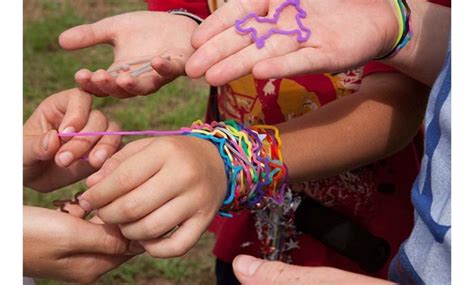 Up To 75% Off on Fun Silly Assorted Animal Sha... | Groupon Goods