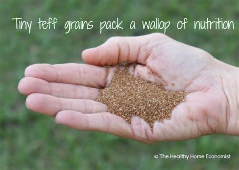 Teff Nutritious Gluten Free Grain You Must Try Healthy Home Economist