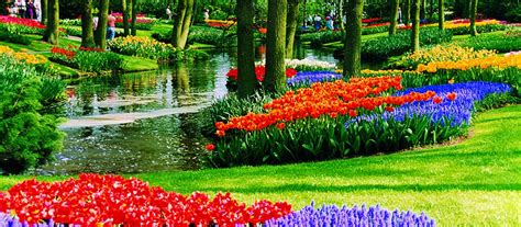 Holland zur Tulpenblüte Reise Niederlande Südholland