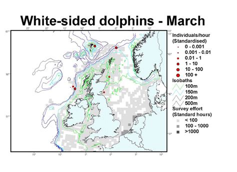 Sea Watch Foundation Atlantic White Sided Dolphin Distribution Maps