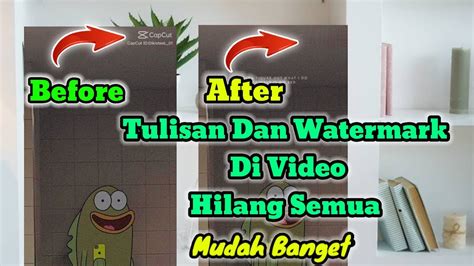 Cara Menghapus Tulisan Watermark Di Video Orang Lain Gampang Banget