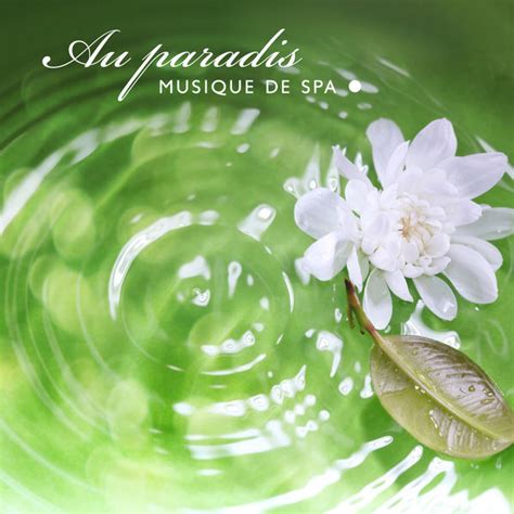 Au Paradis Musique De Spa Avec Sons De La Nature Musique Exotique