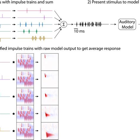 Example Responses Of The Auditory Nerve For Different Stimulus