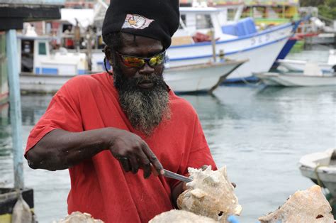 Nassau - Potters Cay; Fish Market (7) | Bahamas | Pictures | Bahamas ...