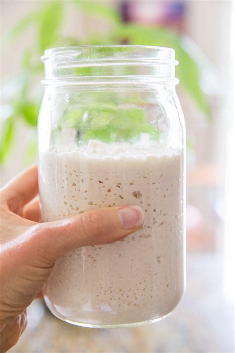 Gluten Free Sourdough Starter The Roasted Root