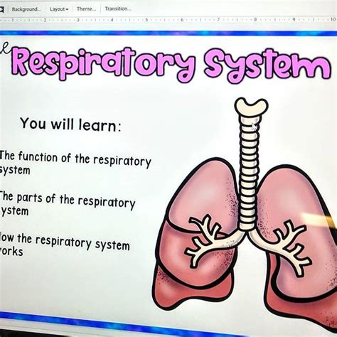 Respiratory System Engage And Vary Your Teaching Style Using This