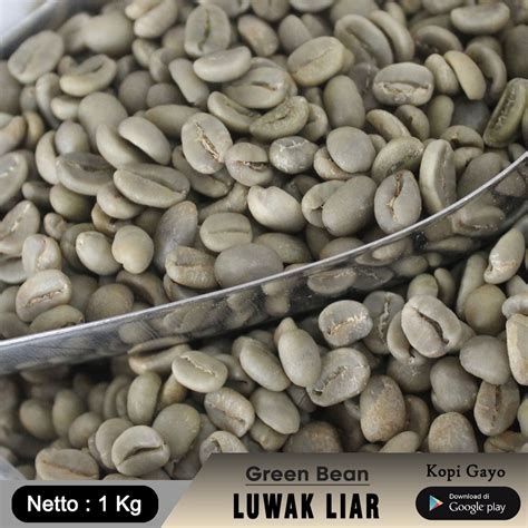 Jual Aza Coffee Biji Green Bean Kopi Luwak Liar Arabika Gayo Aceh Kg