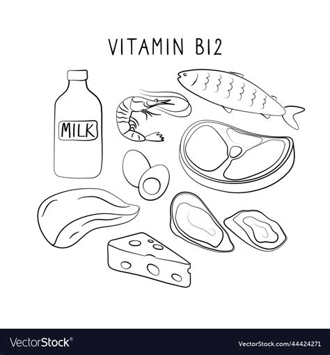 Vitamin B12 Cyanocobalamin Cobalamin Groups Vector Image