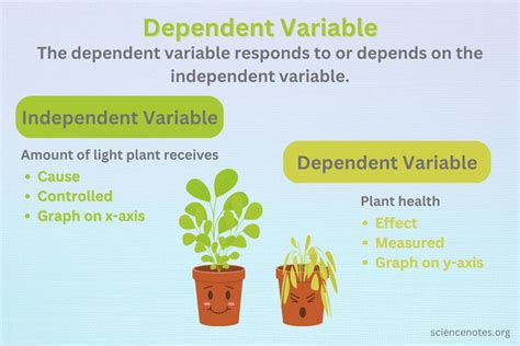 Dependent Variable Definition and Examples