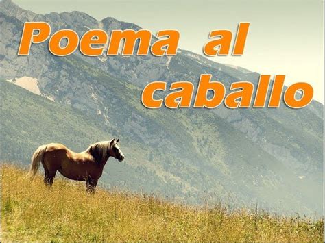 Descubre El Encanto Del Poema Del Caballito Una Joya Literaria Que