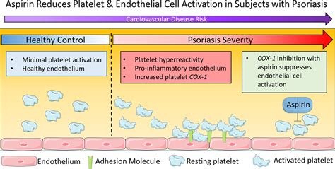 Activated Platelets Induce Endothelial Cell Inflammatory Response In