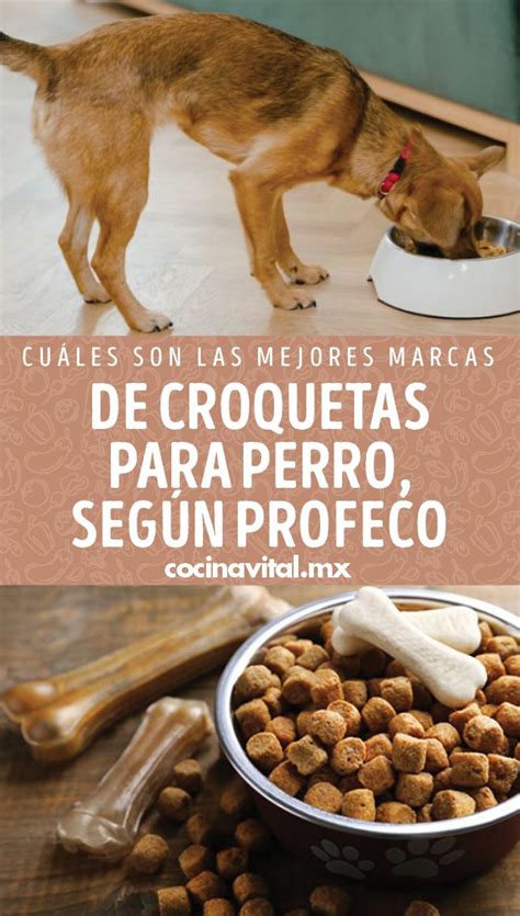 Cuáles son las mejores marcas de croquetas para perro según Profeco