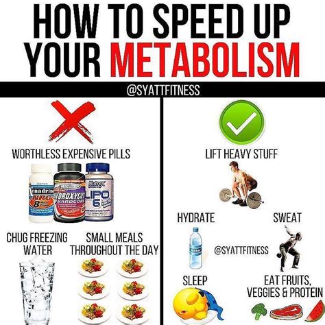 Quick Way To Speed Up Metabolism Just For Guide